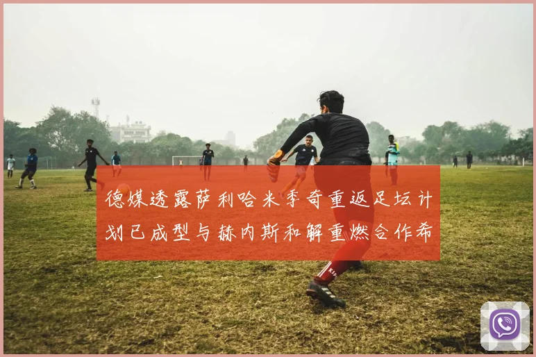 德媒透露萨利哈米季奇重返足坛计划已成型与赫内斯和解重燃合作希望