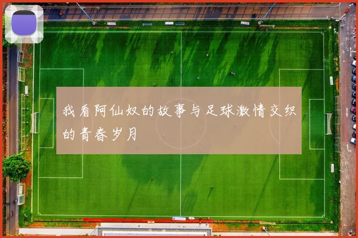 我看阿仙奴的故事与足球激情交织的青春岁月